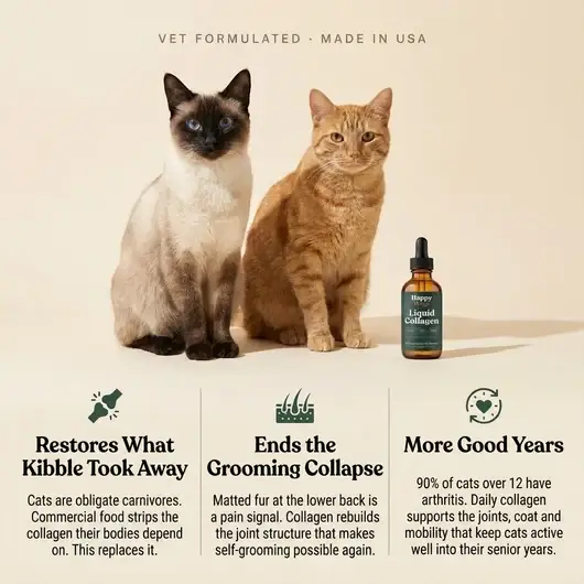 HappyWags™ Liquid Collagen For Cats
