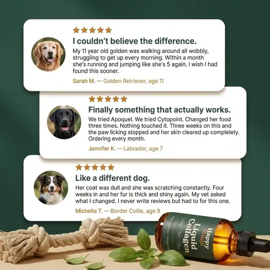 HappyWags™ Liquid Collagen