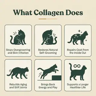 HappyWags Liquid Collagen For Cats