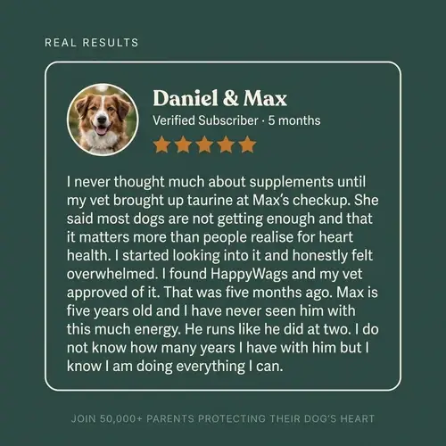 HappyWags Taurine