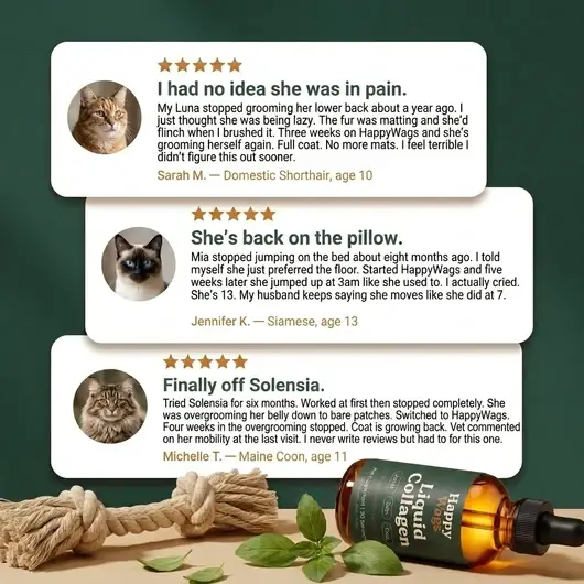 HappyWags™ Liquid Collagen For Cats