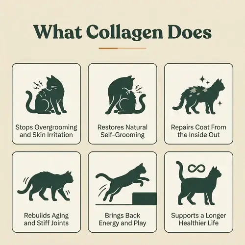 HappyWags Liquid Collagen For Cats