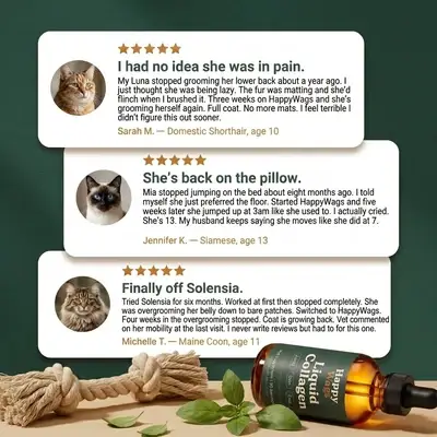 HappyWags™ Liquid Collagen For Cats