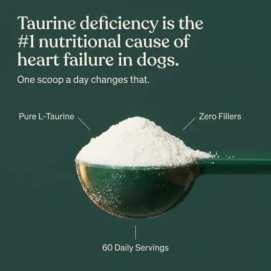 HappyWags™ Taurine